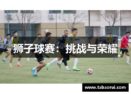 狮子球赛：挑战与荣耀